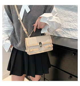 Detail of champagne glitter fabric and gold twist lock on stylish crossbody bag