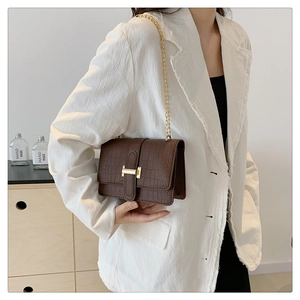 Detail of a brown crocodile pattern shoulder bag with a gold metal H-clasp and chain