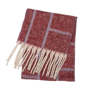 Close-up of red and brown plaid scarf with light blue checks and thick cream fringe