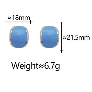 French vintage blue enamel stud earrings with silver borders and dimensional specs