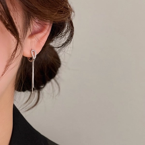 Silver horseshoe zircon earrings with long tassel design on a female model