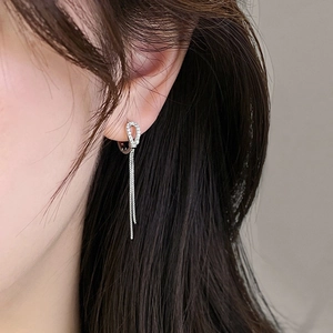 Horseshoe Design Zircon Long Tassel Earrings For Women Elegant Fashion Copper Jewelry With Silver Earring Post