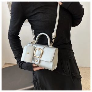Silver metallic crossbody bag with gold buckle and mini pouch shown on fashion model