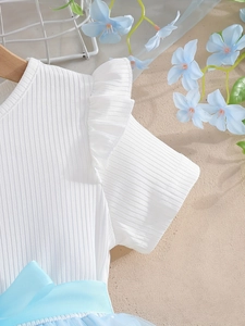 Detail of girl's white ribbed bodice with ruffle sleeves and blue tulle skirt bow