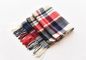 Detail of red and blue plaid blanket scarf showing soft fabric texture and fringe edges