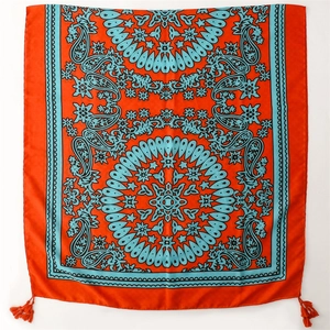 Detail view of ethnic paisley pattern on vibrant red shawl with turquoise accents