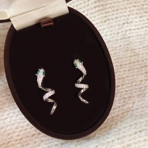 Elegante silberne Schlangenohrringe mit weißen Kristallen und grünen Augen in einer Box