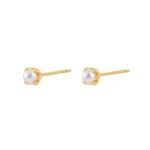 Elegant minimalist round white pearl earrings with golden stud settings on white background