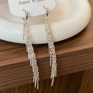 Detailed view of silver long fringe tassel earrings with delicate metal chains and textured charms