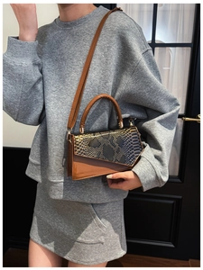 Detailed view of brown snakeskin embossed flap and gold hardware on small square handbag