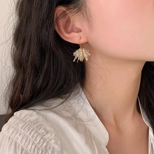 Close-up of elegant crystal tassel hook earrings worn by a model in soft light