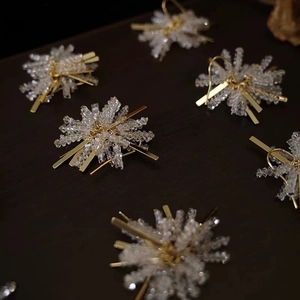 Detail shot of elegant crystal fringe earrings with gold metal bars on dark background