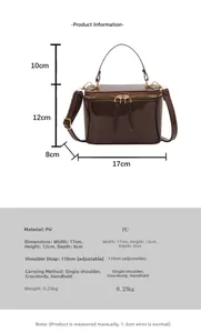 Detailed size specifications for the mini brown square box bag with dimensions 17x12x8cm