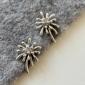 Boucles d'oreilles feux d'artifice en argent poli au design moderne et lignes radiales