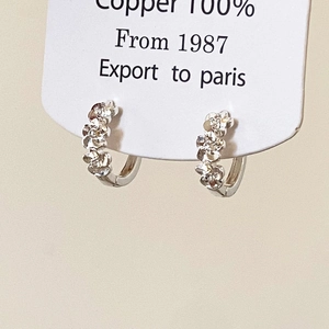 Gros plan détaillé des boucles d'oreilles fleurs argentées avec un design à 5 pétales