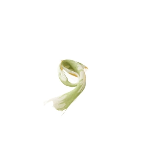 Écharpe légère en coton et lin vert clair avec motif tournesol blanc sur fond blanc pur
