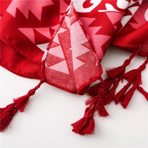 Detail of red and pink geometric woven scarf with handcrafted knotted long tassels