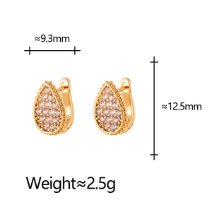 Elegant gold-plated waterdrop hoop earrings with sparkling micro-pave cubic zirconia