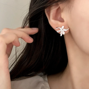 Elegante silberne Blumen-Ohrstecker für Damen mit minimalistischem fünfblättrigem Blumendesign