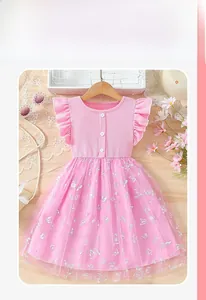 Close-up of pink girls dress with flutter sleeves and silver butterfly embroidery