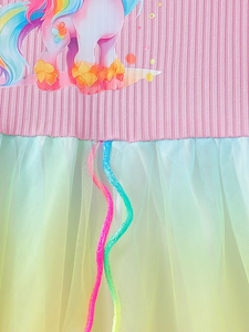 Meisjes eenhoorn jurk met roze gebreide top en pastel regenboog tule mesh rok