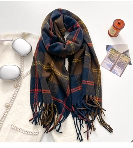 Detail of winter scarf with large colorful checks and elegant tassel fringe trim
