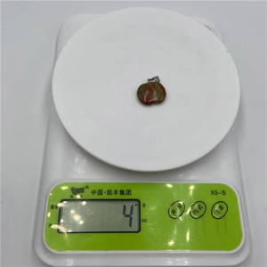 Natural stone apple pendant with red and green marble texture on a digital scale