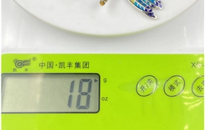 Macro shot showing the 18g weight measurement of this dragonfly enamel brooch on a scale