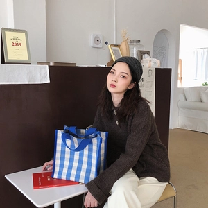 Detailed view of a blue and white checkered canvas tote bag held by a model in a cozy setting
