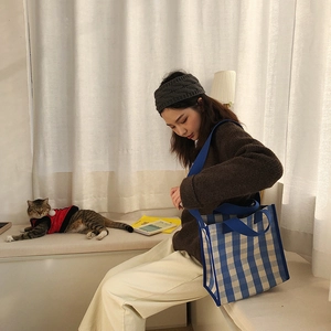 Detail of blue and white checkered tote bag with handle in a cozy indoor setting