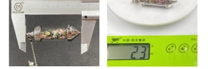 Measuring the bullet-shaped crystal pendant length and weight with caliper and scale