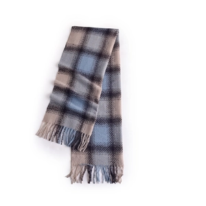 Écharpe classique à carreaux bleus et gris avec franges sur fond blanc pour l'hiver