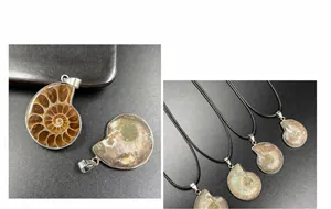 Detailed view of ammonite fossil slice pendants with silver edging and natural spiral textures