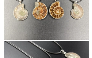 Macro detail of natural ammonite fossil pendant with spiral shell structure and silver edging