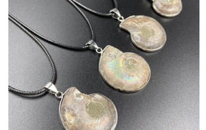 Macro shot of ammonite fossil pendant with iridescent spiral and silver metal edging
