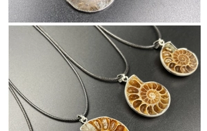 Macro detail of three natural ammonite fossil pendants with silver plating and wax cord