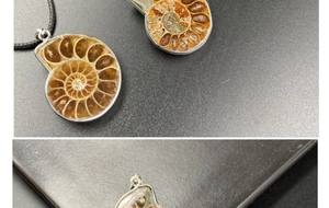 Macro detail of natural ammonite fossil pendant with silver metal edge and clear chambers