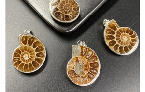 Macro detail of natural ammonite fossil pendants with silver metal edges on gray background