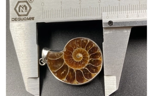 Macro view of natural ammonite fossil pendant measured at 2.8cm width on a caliper