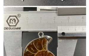 Detail view of ammonite fossil pendant measured with calipers showing 23mm width size