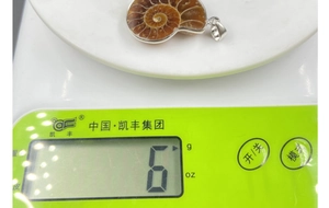 Macro shot of ammonite fossil pendant weighing 6 grams on an electronic scale