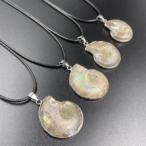 Natural ammonite fossil slice necklace with silver-edged pendant and black cord