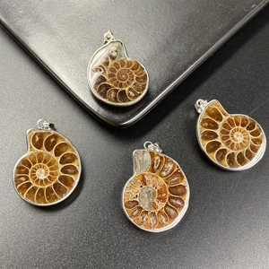 Natural ammonite fossil shell pendants with silver-plated edging on black background