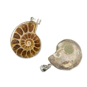 Front and back view of natural ammonite fossil pendant with silver metal bail