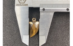 Ciondolo a corno in occhio di tigre con bordo dorato misurato a 1,4 cm con un calibro