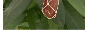 Close-up of red agate raw stone pendant in a handmade beige woven net pouch
