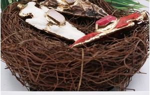 Detailansicht der Pfeilspitzen-Kristallanhänger mit Metallrand in einem rustikalen Nest