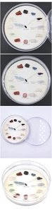 Detailed set of 15 polished natural crystal and mineral ore specimens in a round box
