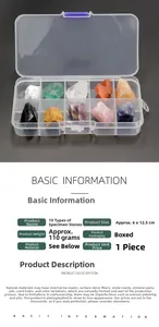 Détail de 10 cristaux naturels assortis dans une boîte de rangement en plastique clair