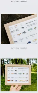 Educational frame featuring 24 natural polished crystal and mineral rock specimens